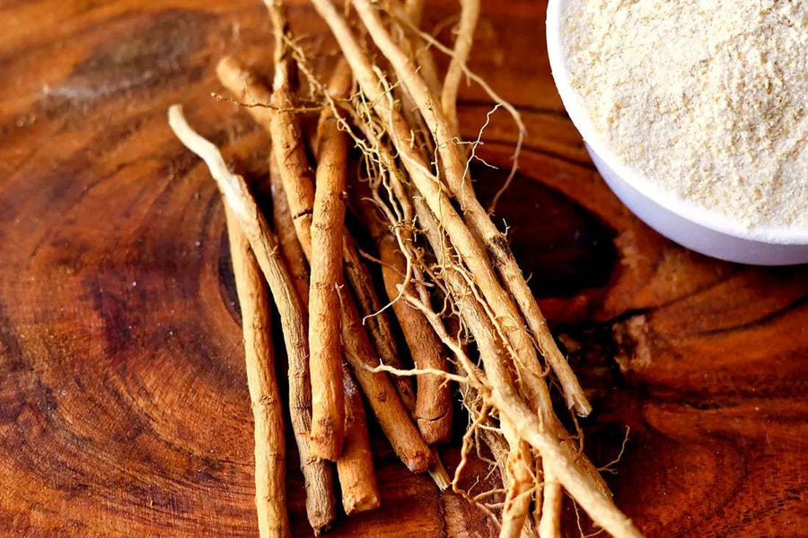 Ashwagandha Extract