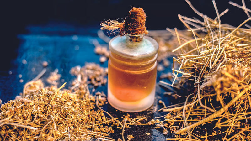 Shankhpushpi Extract